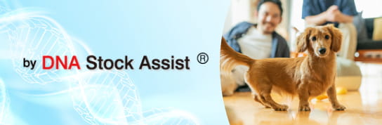 DNA Stock Assist🄬