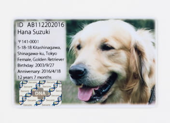 DNA Stock Assist🄬