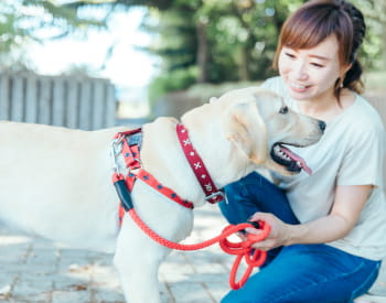 フィッティングも対応