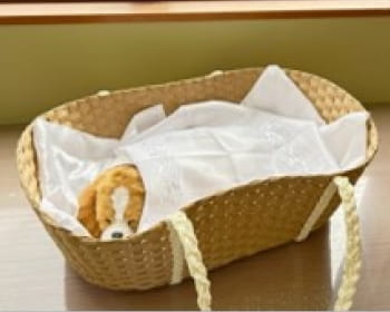 紙製バスケット