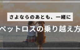 ペットロスを経験する飼い主と愛犬のイメージ