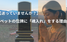 ペット用位牌と供養をする女性、魂入れを連想させる風景